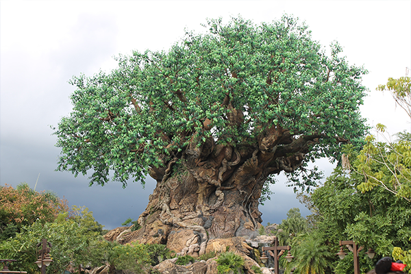 Disney's Animal Kingdom Tree of Life with dark cloudy sky