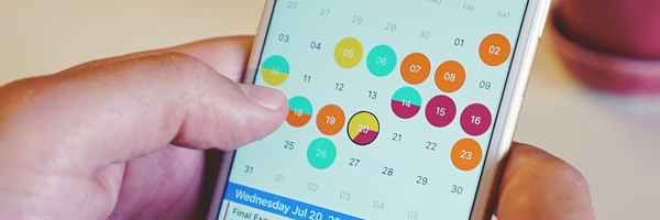 Calendar on smartphone